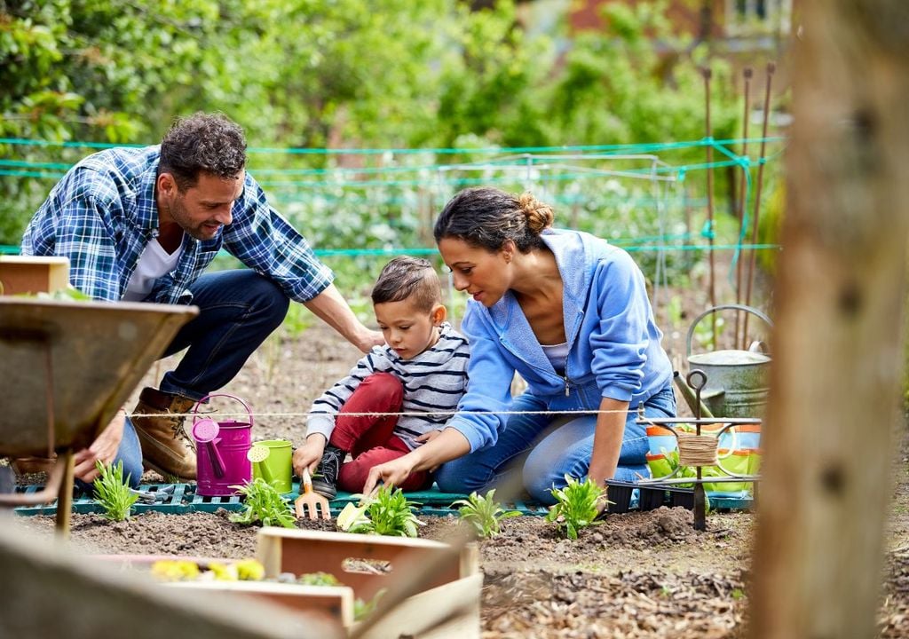 Adiós al jardín sediento: las plantas que sobreviven al calor sin gastar tanta agua