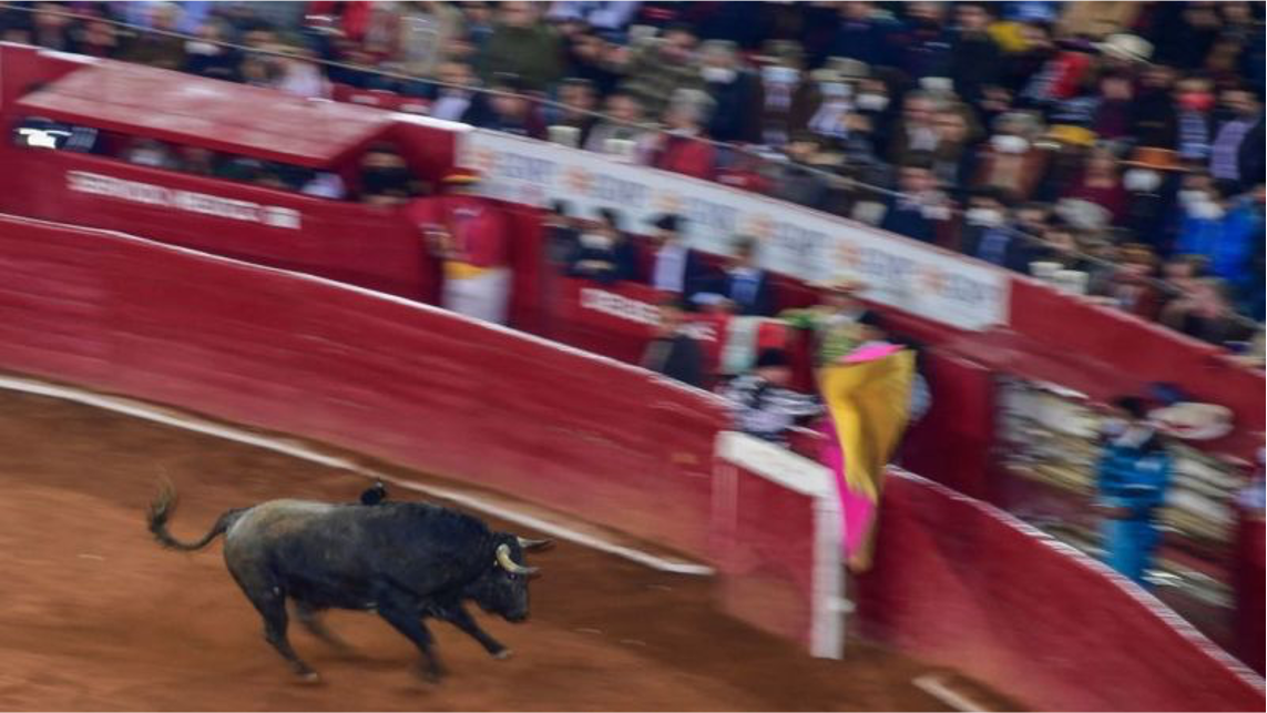 Suprema Corte no unifica postura sobre corridas de toros en México